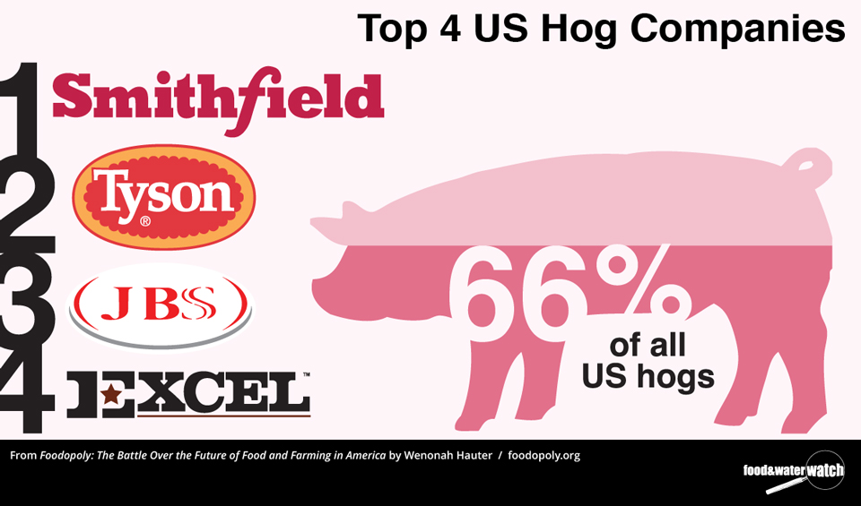 Top Ten Natural Food Retailers In The Us Top Ten Natural Food Retailers In The Us